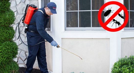 Yeşilli Dezenfeksiyon böcek ilaçlama ve haşere kontrolü — ilaclama-tr.com